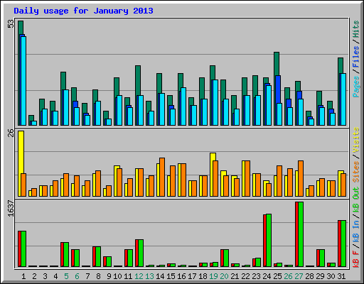 Daily usage for January 2013
