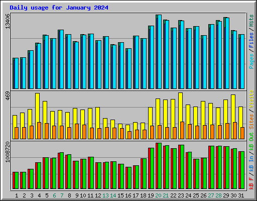 Daily usage for January 2024
