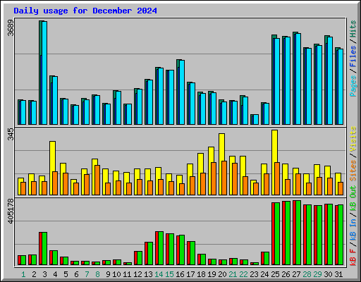 Daily usage for December 2024