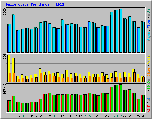 Daily usage for January 2025
