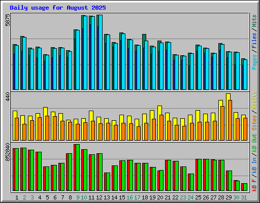 Daily usage for August 2025