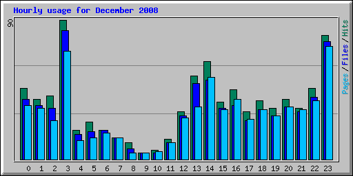 Hourly usage for December 2008
