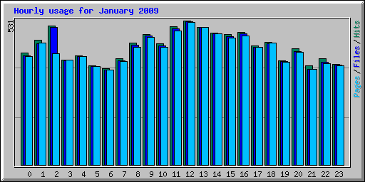 Hourly usage for January 2009