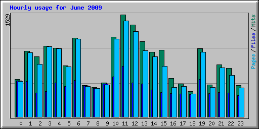 Hourly usage for June 2009