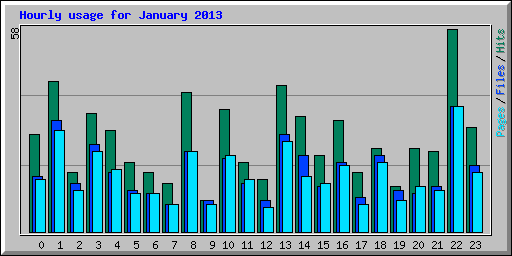 Hourly usage for January 2013
