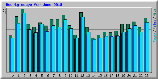 Hourly usage for June 2013