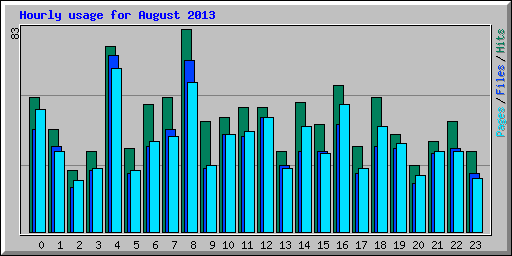 Hourly usage for August 2013