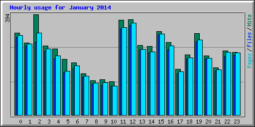 Hourly usage for January 2014