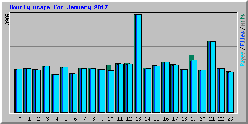 Hourly usage for January 2017
