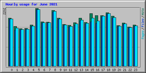 Hourly usage for June 2021