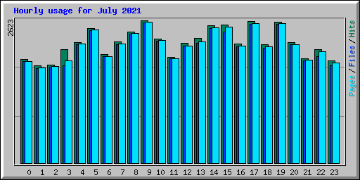 Hourly usage for July 2021