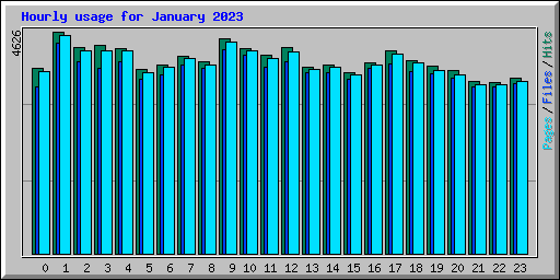 Hourly usage for January 2023