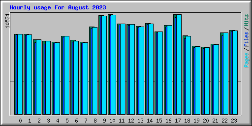 Hourly usage for August 2023