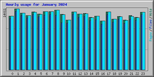 Hourly usage for January 2024