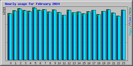 Hourly usage for February 2024