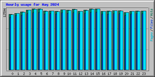 Hourly usage for May 2024