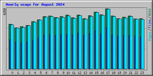 Hourly usage for August 2024