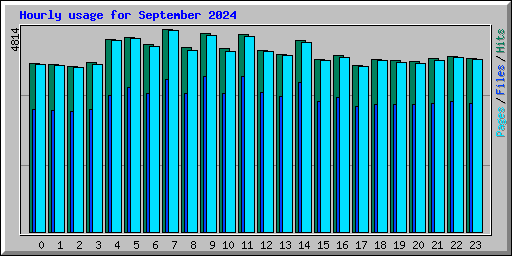 Hourly usage for September 2024