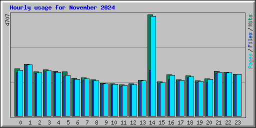 Hourly usage for November 2024