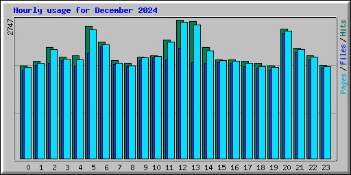 Hourly usage for December 2024