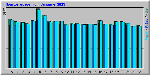 Hourly usage for January 2025