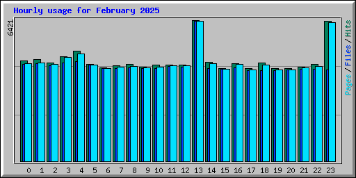 Hourly usage for February 2025