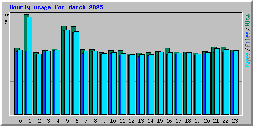 Hourly usage for March 2025