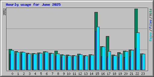 Hourly usage for June 2025