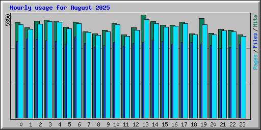 Hourly usage for August 2025