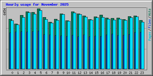 Hourly usage for November 2025