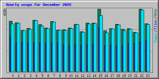 Hourly usage for December 2025