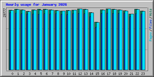 Hourly usage for January 2026
