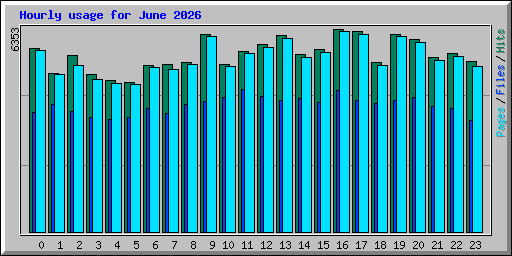 Hourly usage for June 2026