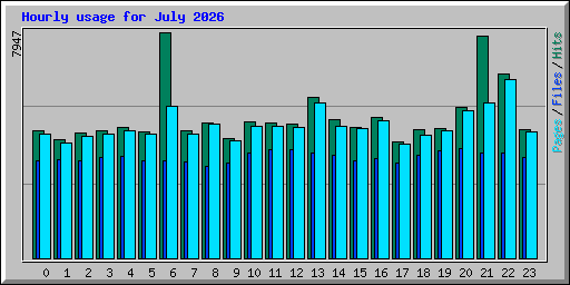 Hourly usage for July 2026